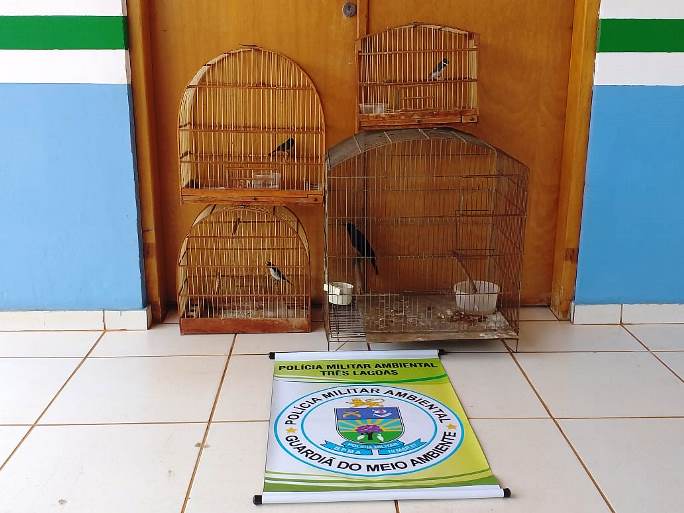 Equipe da PMA apreendeu gaiolas e aves dentro de residência no Vila Haro - Divulgação/PMA