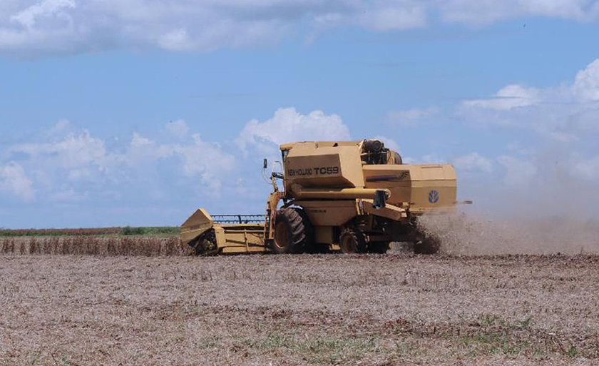 Para o produtor agropecuário, houve recuo de 6 pontos em relação ao trimestre anterior, passando para 98,5 pontos - Arquivo/Agência Brasil