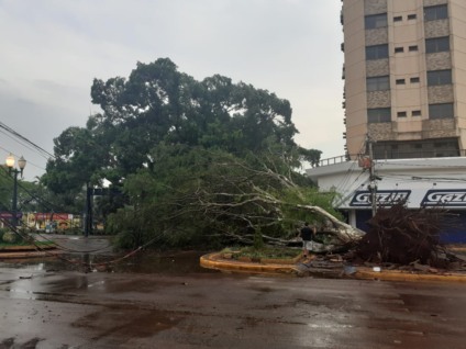 Tempestade rápida deixa rastro de destruição em Dourados - Foto: Lílian Rech