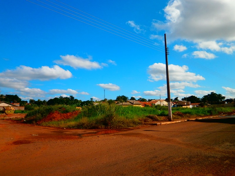 Proprietários de terrenos sujos estão sendo multados - Talita Matsushita Proprietários de terrenos sujos estão sendo multados - Talita Matsushita