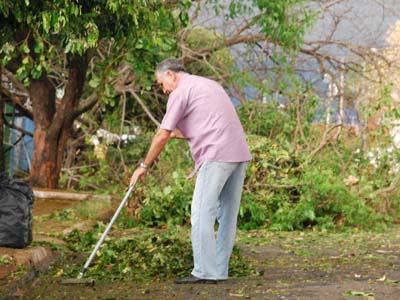Árvores, galhos e folhas caídas formavam um cordão na diagonal da cidade -