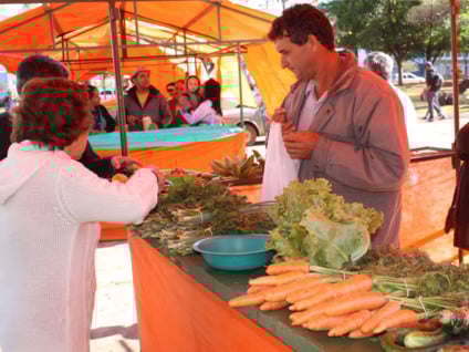 Integrantes são do projeto Produção Agroecológica Integrada Sustentável (PAIS) - Divulgação