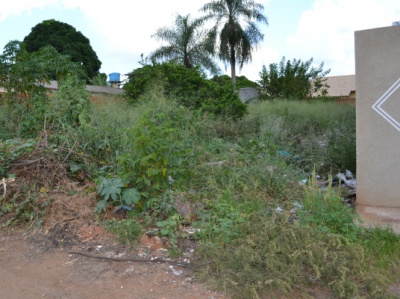Foto mostra um terro baldio do bairro Vila Eliane, na capital -