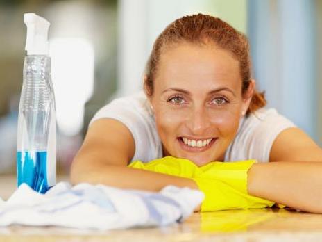 - Ilustração - Ilustração