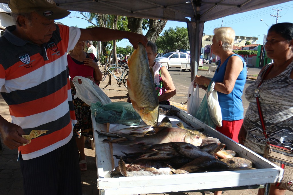 Tradicional feira do peixe que acontece na avenida Rosário Congro - Hugo Leal/JPNEWS