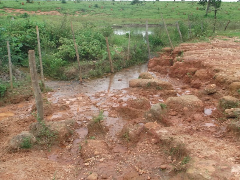 Área de quase três hectares foi desmatada ilegalmente - Divulgação/PMA