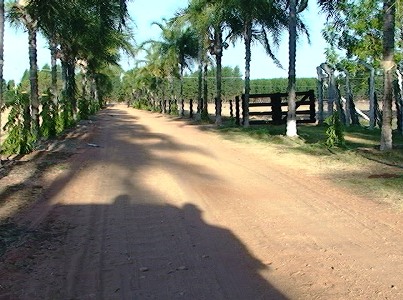 Entrada do sítio, onde o crime ocorreu há um ano -