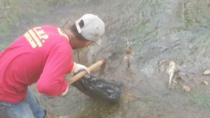 Homem retira peixes do córrego na manhã desta sexta-feira - Lucas dos Anjos/JP