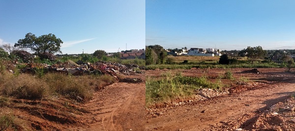 Mato alto ainda causa preocupação em moradores da região - Alex Santos