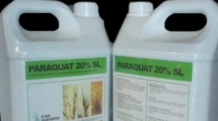 Proibição se deu conforme deliberação da Agência Nacional de Vigilância Sanitária - Foro: Reprodução