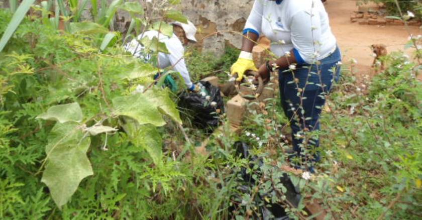 Oito a cada dez casas de Três Lagoas possuem focos de criadouros do mosquito Aedes aegypti - Arquivo/JPNEWS