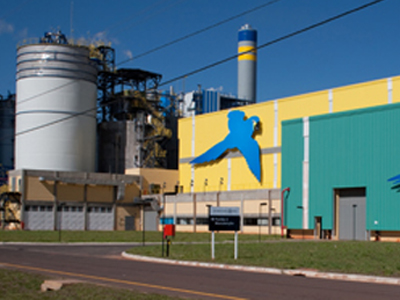 Entre os três projetos anunciados em 2010, que ainda não foram executados, está a construção de uma segunda linha de papel na fábrica de Três Lagoas -