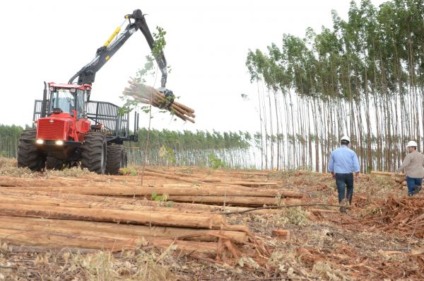 Exportações da soja tiveram aumento de 81,20% em comparação ao trimestre do ano passado -