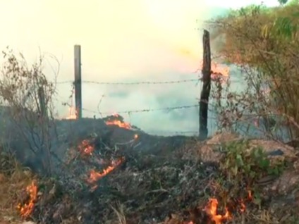 Registros apontam que a maior parte dos incêndios é intencional e visa acabar com o mato ou lixo - Arquivo/JP Registros apontam que a maior parte dos incêndios é intencional e visa acabar com o mato ou lixo - Arquivo/JP
