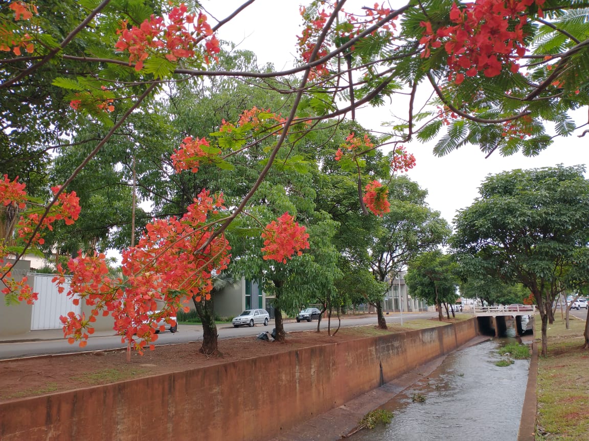 Nesta quarta-feira (2) o tempo fica parcialmente nublado a nublado e há possibilidade para pancadas de chuva isoladas - Talita Matsushita/JPNEWS