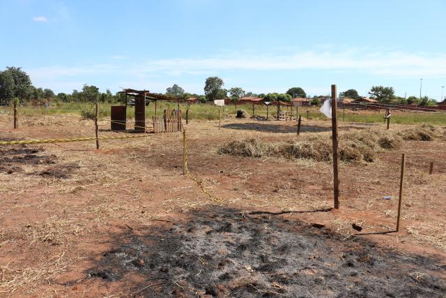 Invasores alegam que a área estava abandonada e tomada por mato - Hugo Leal/JPNews