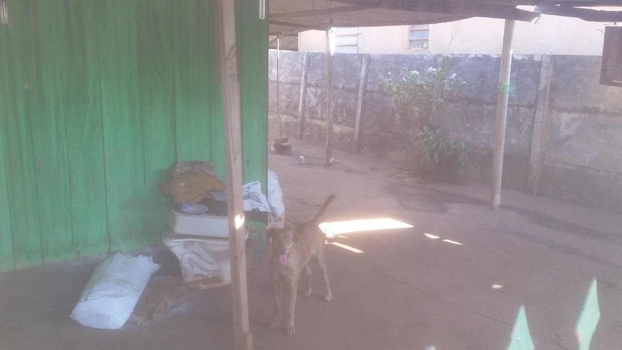 A dona dos animais disse que irá se mudar da residência até o próximo dia 31 - Lucas dos Anjos/JPNEWS