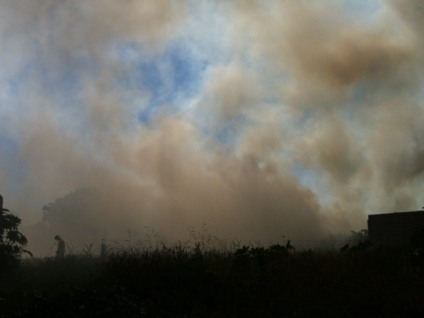 Maioria dos incêndios registrados em vegetação está concentrada no perímetro urbano, em terrenos - Arquivo/JP