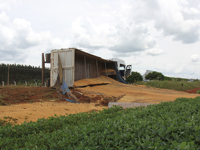 Soja acabou ficando espalhada na margem da pista - Jovemsulnews 