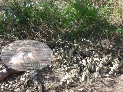 Cadáver foi encontrado em fazenda, na BR-158, no sentido a Brasilândia - Divulgação/Polícia Civil