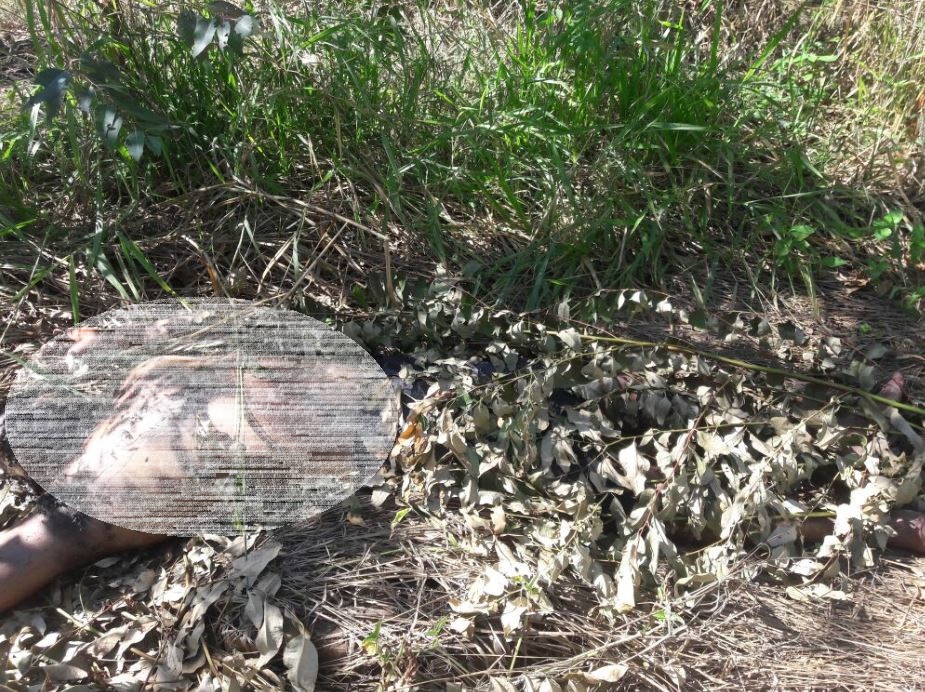 Cadáver foi encontrado em fazenda, na BR-158, no sentido a Brasilândia - Divulgação/Polícia Civil