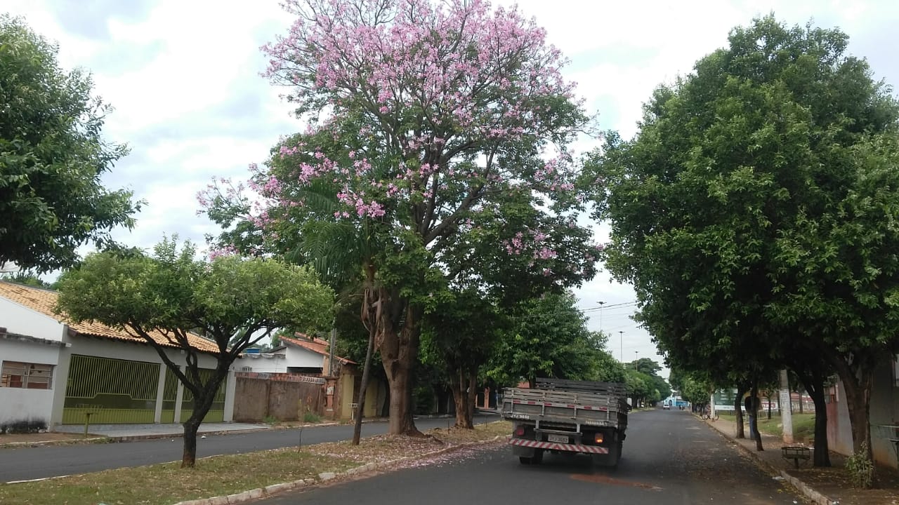 Uma grande mudança no tempo vai acontecer a partir de sexta-feira (18), com a chegada de uma forte frente fria - Talita Matsushita