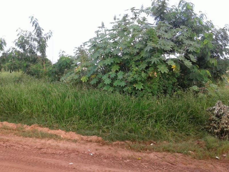 Moradores reclamam de terreno sujo no Jardim Itamaraty