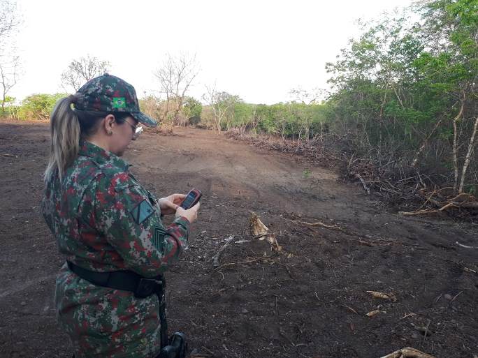 Foram desmatados 5,25 hectares de uma área nativa de cerrado - Divulgação/PMA