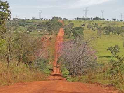  - Divulgação