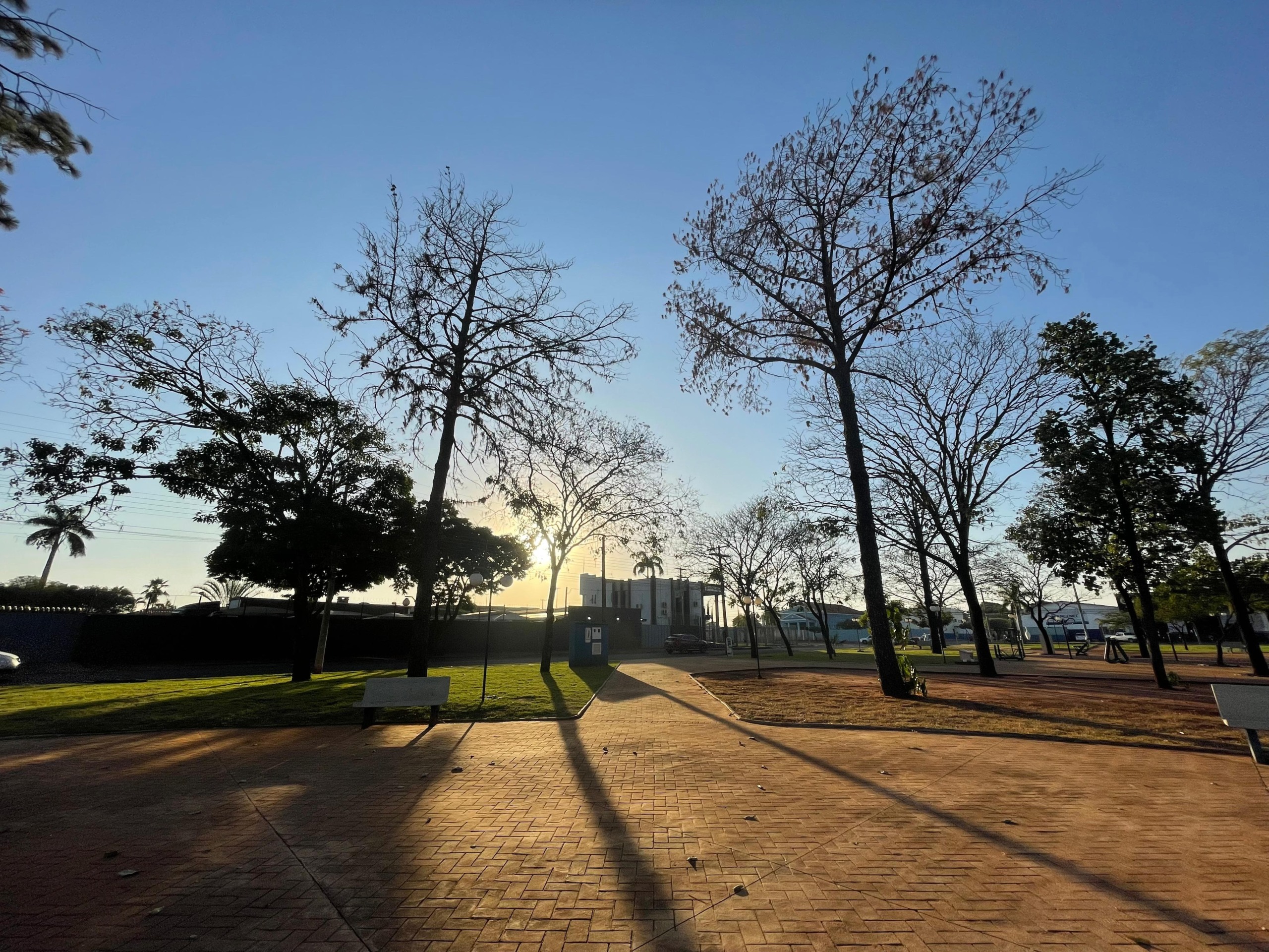 A temperatura máxima pode chegar aos 38°C