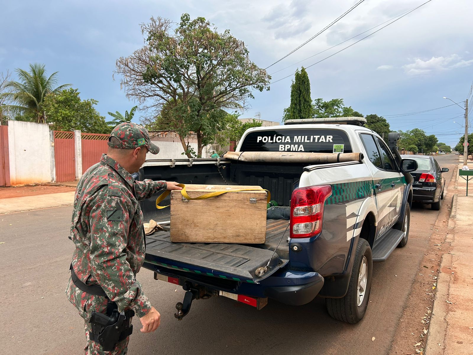 A estação chuvosa, que acontece principalmente durante o período reprodutivo, que ocorre entre setembro e dezembro, é marcada por ventos fortes que podem fazer com que filhotes caiam dos ninhos.