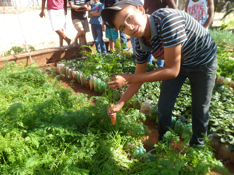 Escolas rurais encerram e apresentam os resultados do projeto Educando com a Horta Escolar e Gastronomia - Arquivo Pessoal