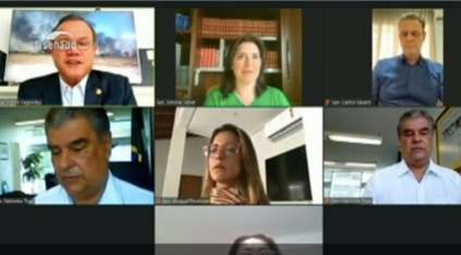 Para senadora, é fundamental que o Brasil sinalize que não vai tolerar crimes ambientais   - Foto: Agência Senado