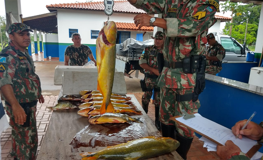 Quantidade de pescado apreendida foi de 614,5 kg - Divulgação/PMA