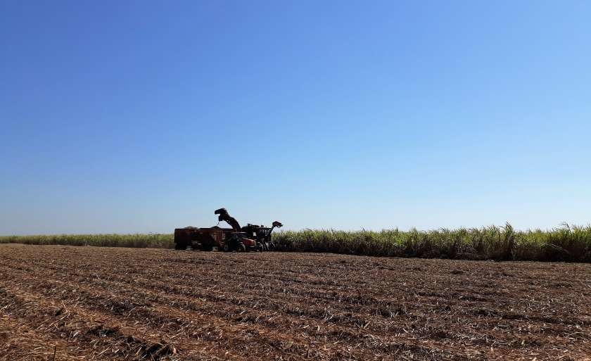 Produção de açúcar aumentou 107% neste ano, influenciada, principalmente pelo mercado internacional atrativo. - Foto: Biosul