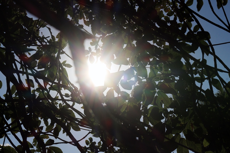 Termômetros devem atingir máxima de 35ºC em Três Lagoas nesta terça-feira e há possibilidade de chuva - Hugo Leal/JPNEWS