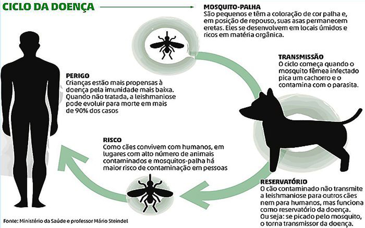 De janeiro a setembro, seis moradores contraíram a doença - Ministério da Saúde