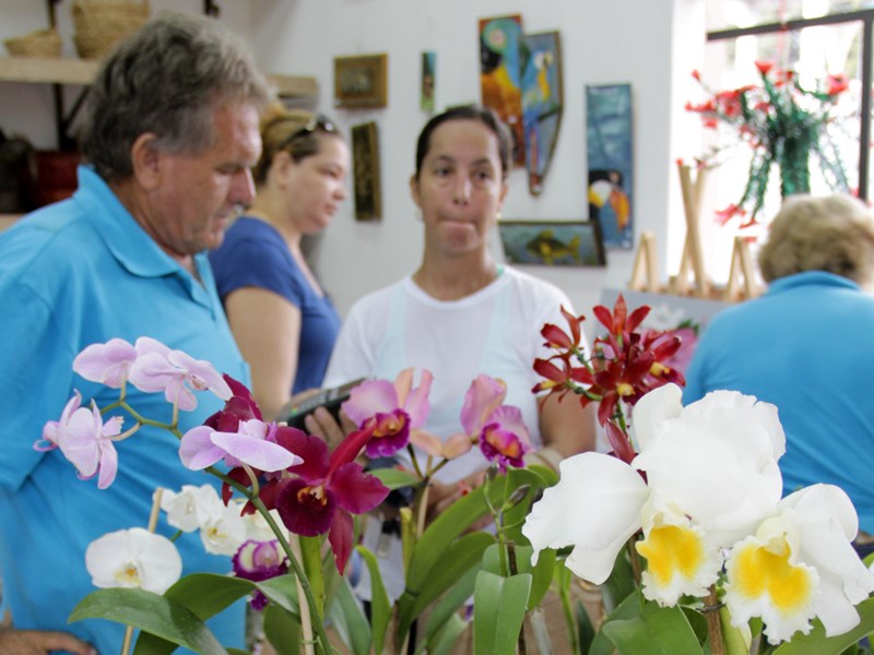 Exposição acontece entre os dias 5 e 7 de março - Divulgação Exposição acontece entre os dias 5 e 7 de março - Divulgação