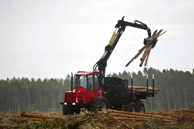 Além da fábrica, Eldorado deve negociar também suas florestas de eucalipto - (Dado Galdieri/Bloomberg)