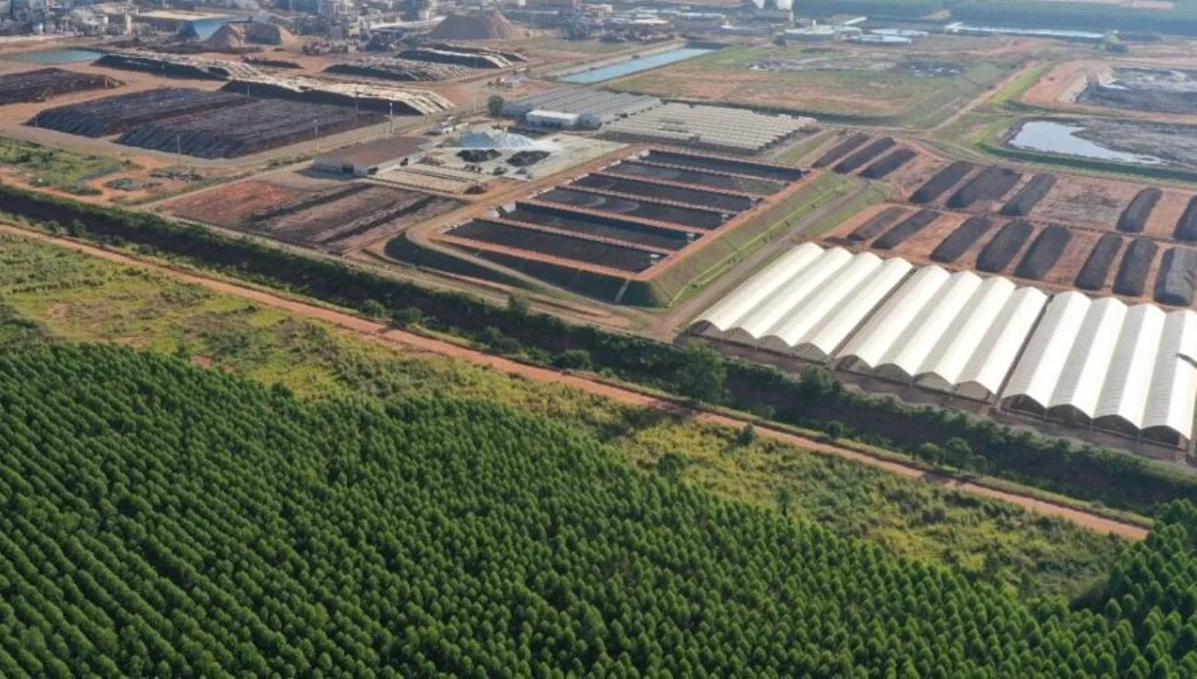 Suzano reutiliza quase 100% dos resíduos sólidos industriais na produção de insumos agrícolas em Três Lagoas