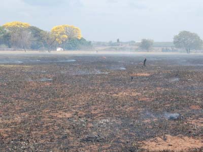 Incêndio destruiu área de reserva -