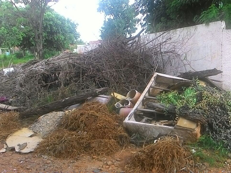 No quintal há muito mato e galhos de árvores secos jogados, além de móveis destruídos e espalhados por todos os cantos - Nenê Veloso