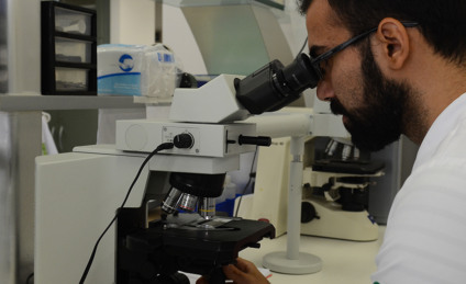 PAE tem como objetivo garantir recursos para financiar a realização de eventos de cunho científico e tecnológico em Mato Grosso do Sul - Arquivo/Agência Brasil