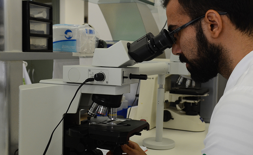 PAE tem como objetivo garantir recursos para financiar a realização de eventos de cunho científico e tecnológico em Mato Grosso do Sul - Arquivo/Agência Brasil PAE tem como objetivo garantir recursos para financiar a realização de eventos de cunho científico e tecnológico em Mato Grosso do Sul - Arquivo/Agência Brasil