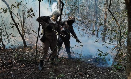 40 bombeiros da Força Nacional de Segurança Pública chegam em MS neste domingo (04)