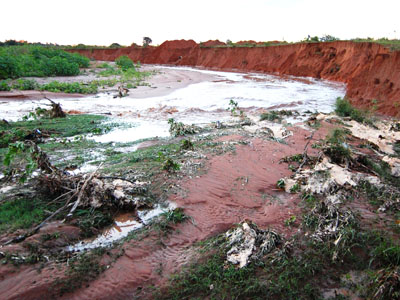 As estações do ano regulam o fluxo de água do córrego que foi destruído pelo crescimento da cidade -