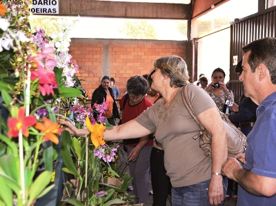 Curso de Manejo de Orquídeas será realizado em março -