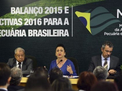 A ministra Kátia Abreu e secretários falam sobre a reabertura de mercados para a carne brasileira e fazem balanço das ações agropecuárias em 2015 - Elza Fiúza/Agência Brasil