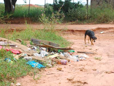 A rua dos Palmitos está intransitável e não tem obra de micro-drenagem -