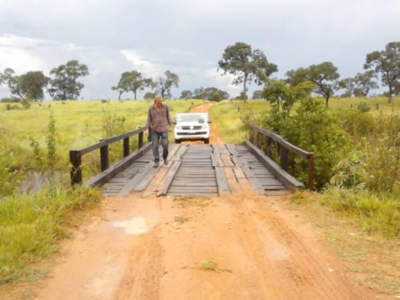 Ponte garante a segurança no transporte escolar - Divulgação